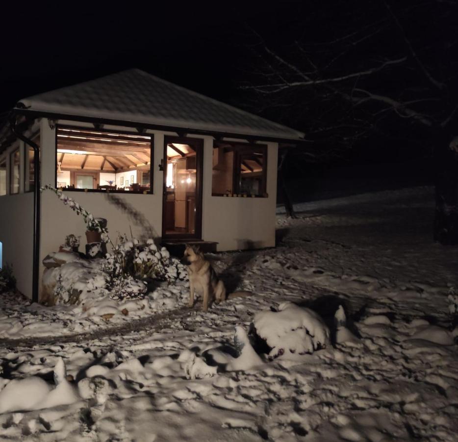 Trout Cottage Bran  Exterior foto
